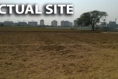 actual site of pyramid urban homes 2 affordable homes