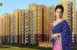 Tulsiani-Easy-in-Homes